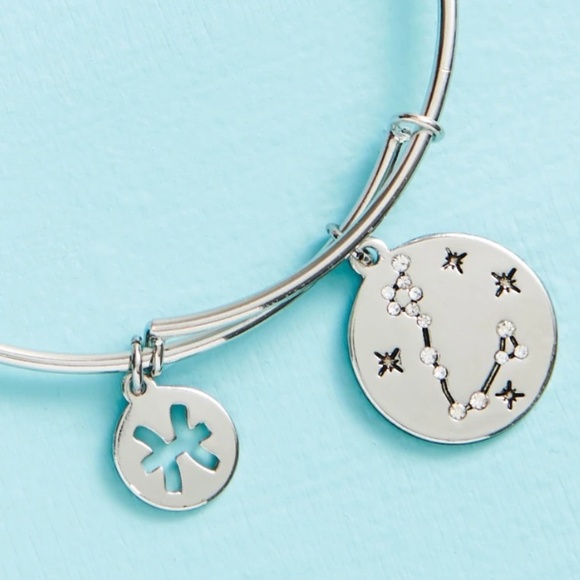 Earthbound Zodiac Pisces Silver Charm Bangle Bracelet NEW - Picture 2 of 3